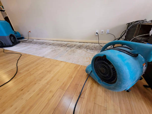 Professional Water Removal technician working in Lamar, AR